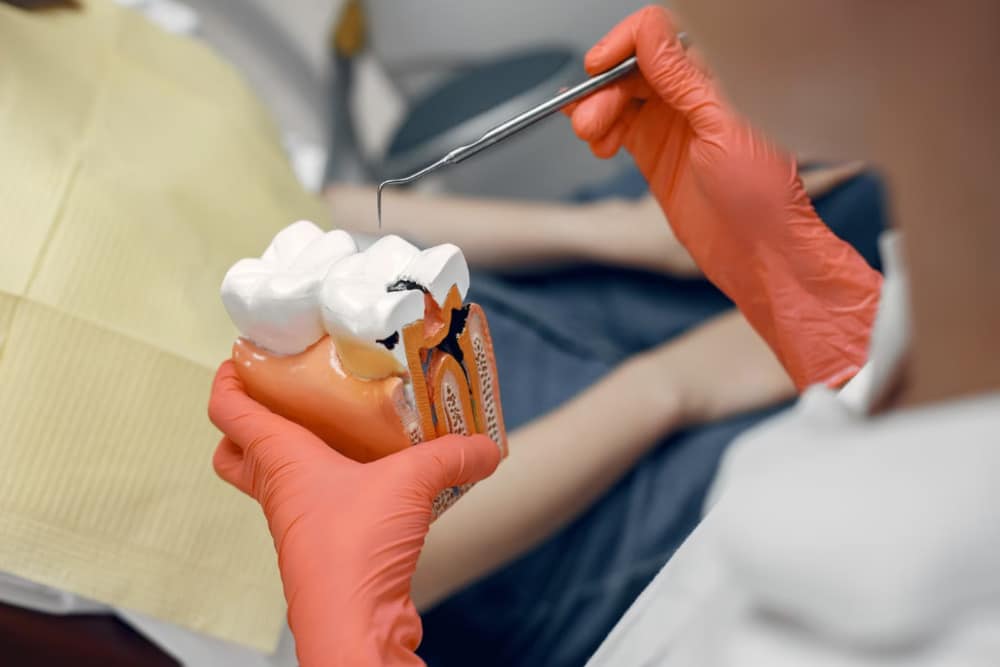 Corona Dental Donostia Corona Dental Donostia