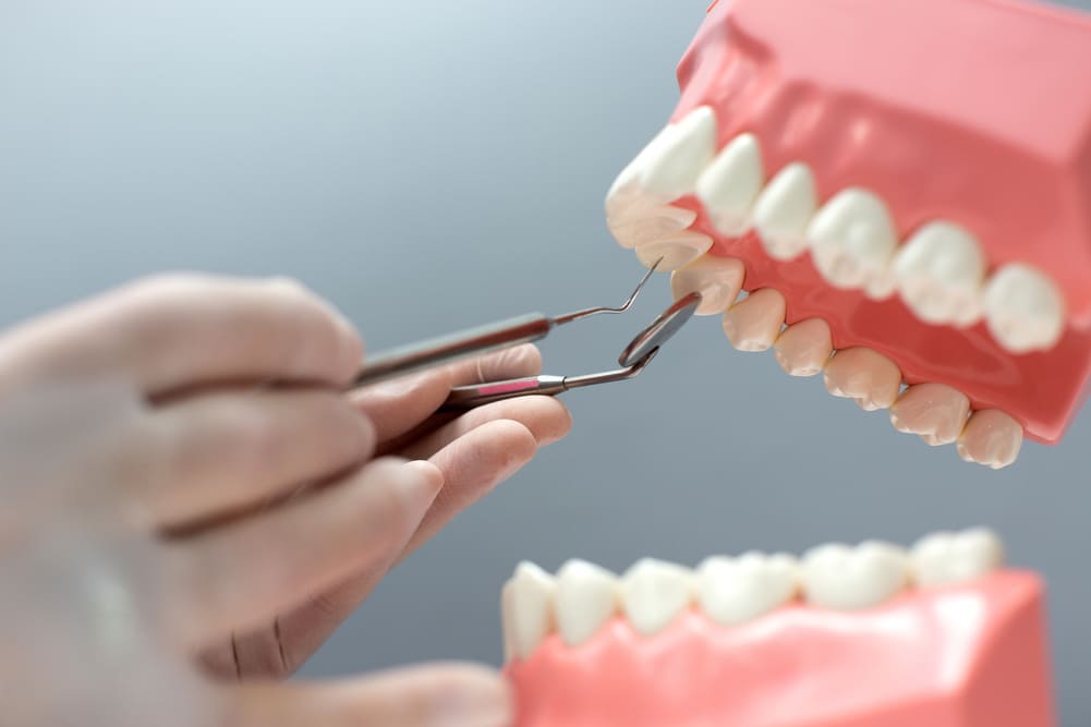 enfermera practicando diseño mandíbula con dientes